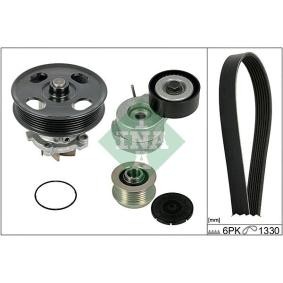 Achetez des Pompe à eau+Jeu de courroie trapézoïdale à nervures INA 529 0041 30 à prix pour 120,21 €