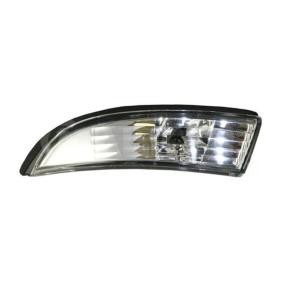 Blinker 6201394