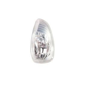 Blinker 6202907