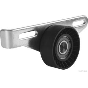 Comprar Tensor de correa poli V de HERTH+BUSS JAKOPARTS J1141049 a bajo precio de 44,58 €
