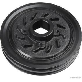 Riemenscheibe, Kurbelwelle J1090509 MITSUBISHI GALLOPER von HERTH+BUSS JAKOPARTS