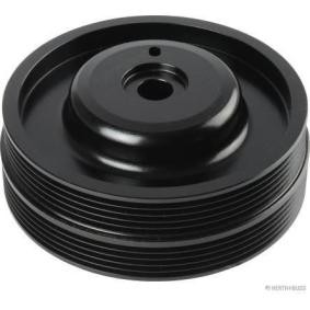 Achetez des Poulie damper (vilebrequin) HERTH+BUSS JAKOPARTS J1095013 à prix pour 52,71 €