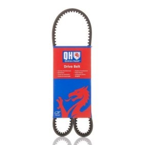 Comprar Correa trapezoidal de QUINTON HAZELL QBA975 a bajo precio de 6,76 €