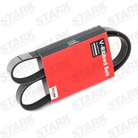 Acquista Cinghia servizi da STARK online per Passat B9 Variant (CJ5) a prezzi moderati