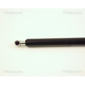 Comprar Disco de freno de TRISCAN 8120 101040C a bajo precio de 53,30 €