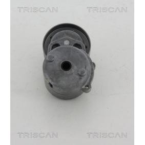 Comprar Brazo tensor, correa poli V de TRISCAN 8641 803005 a bajo precio de 107,33 €