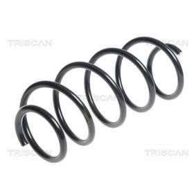 Köp Spiralfjäder av TRISCAN 8750 28243 till det låga priset 1070,93 kr