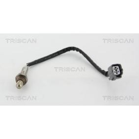 Lambdasonde von TRISCAN
