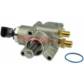 Achetez des Pompe à injection METZGER 2250142 à prix pour 384,63 €