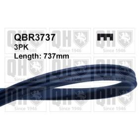 Compre Correia trapezoidal estriada da QUINTON HAZELL QBR3737 a um preço baixo por 9,39 €