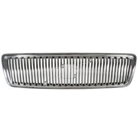 Kühlergrill 6502-07-9037990P