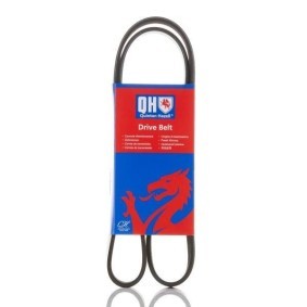 Compre Correia trapezoidal estriada da QUINTON HAZELL QBR61175 a um preço baixo por 16,88 €