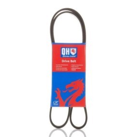Compre Correia trapezoidal estriada da QUINTON HAZELL QBR61250 a um preço baixo por 21,81 €