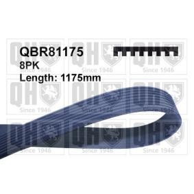 Compre Correia trapezoidal estriada da QUINTON HAZELL QBR81175 a um preço baixo por 21,81 €