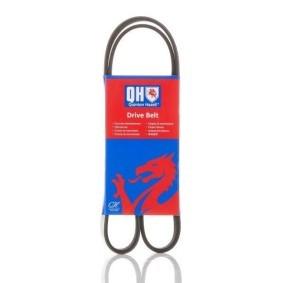 Compre Correia trapezoidal estriada da QUINTON HAZELL QBR51125 a um preço baixo por 15,21 €