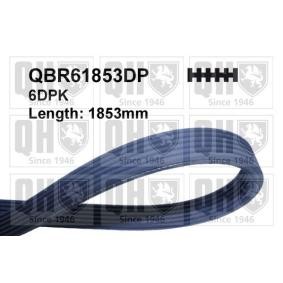 Compre Correia trapezoidal estriada da QUINTON HAZELL QBR61853DP a um preço baixo por 34,94 €