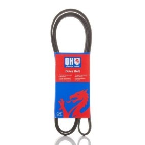 Compre Correia trapezoidal estriada da QUINTON HAZELL QBR61900 a um preço baixo por 23,28 €