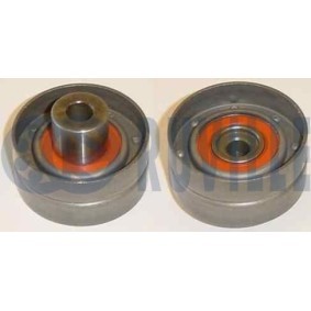 Achetez des Coulisse de chaîne de distribution RUVILLE 3453058 à prix pour 45,96 €