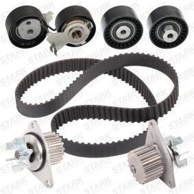 Achetez des Kit de distribution + pompe à eau STARK SKWPT-0750070 à prix pour 99,43 €