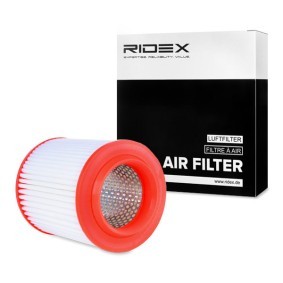 Kjøp Luftfilter av RIDEX 8A0417 til den lave prisen 289,23 NOK