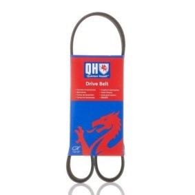 Compre Correia trapezoidal estriada da QUINTON HAZELL QBR6906 a um preço baixo por 16,55 €