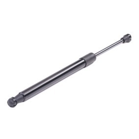 Achetez des Vérin de coffre RIDEX 219G0105 à prix pour 7,24 €