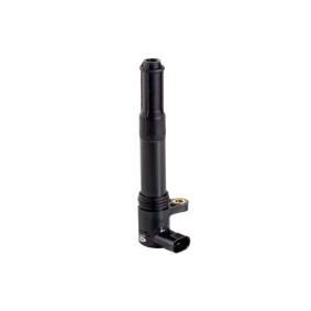 Achetez des Bobine d'allumage SIDAT 85.30045 à prix pour 68,84 €