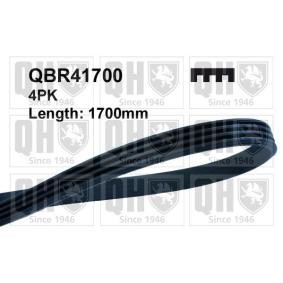 Compre Correia trapezoidal estriada da QUINTON HAZELL QBR41700 a um preço baixo por 23,70 €