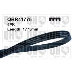 Achetez des Courroie Poly-V QUINTON HAZELL QBR41775 à prix pour 25,10 €