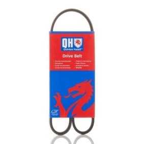 Acquista Cinghia servizi da QUINTON HAZELL QBR4884 a buon mercato per soli 12,59 €