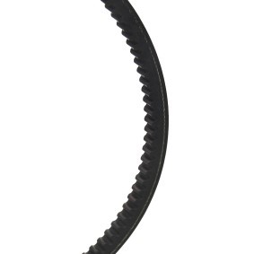 Keilriemen 10C0053