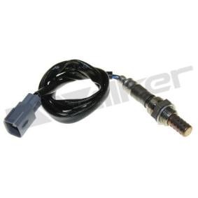 Lambdasonde von WALKER PRODUCTS 250-24176