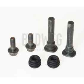Acquista Guarnizione, Pistoncino pinza freno da BUDWEG CALIPER 182015 a buon mercato per soli 7,23 €