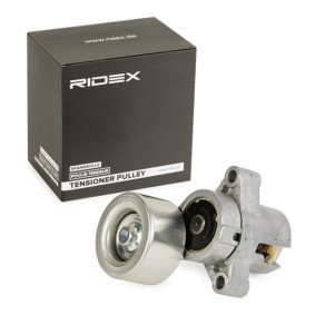 Spannrolle, Keilrippenriemen 310T0051 MAZDA von RIDEX