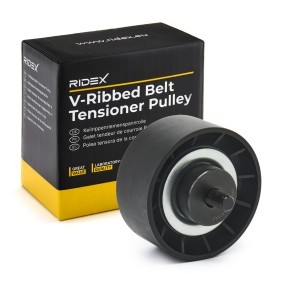 Achetez des Poulie renvoi / transmission, courroie trapézoïdale à nervures de chez RIDEX en ligne pour Stilo 3/5 portes (192) à prix modérés
