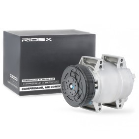 Acquista Compressore aria condizionata da RIDEX 447K0081 a buon mercato per soli 216,51 €