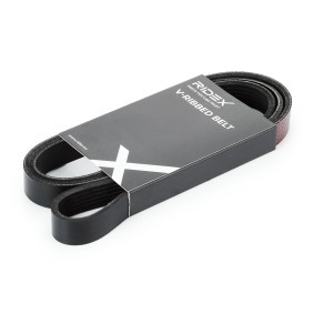 Achetez des Courroie Poly-V RIDEX 305P0322 à prix pour 14,15 €