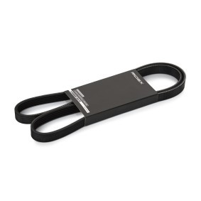Acquista Cinghia servizi da RIDEX 305P0294 a buon mercato per soli 12,18 €