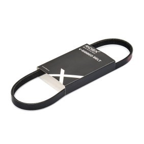 Achetez des Courroie Poly-V RIDEX 305P0217 à prix pour 5,42 €