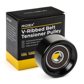 Compre Rolo tensor, correia trapezoidal estriada da RIDEX 310T0081 a um preço baixo por 23,06 €