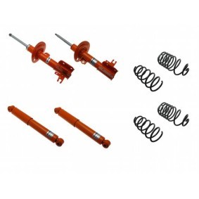 Stoßdämpfer-Komplettsatz mit Federn 1120-2091 für VAUXHALL