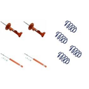 Stoßdämpfer-Komplettsatz mit Federn 1120-2592