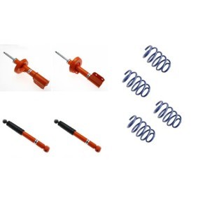 Stoßdämpfer-Komplettsatz mit Federn 1120-4961 für VAUXHALL