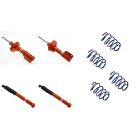 Stoßdämpfer-Komplettsatz mit Federn 1120-4962 für VAUXHALL