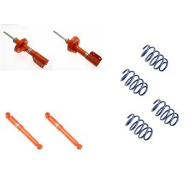 Stoßdämpfer-Komplettsatz mit Federn 1120-5301 für VAUXHALL