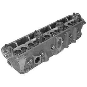 Zylinderkopf 50003072