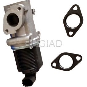 Comprar Válvula EGR de BUGIAD 54017 a bajo precio de 234,62 €