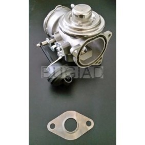 Comprar Válvula EGR de BUGIAD 54020 a bajo precio de 256,38 €