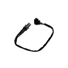 Compre Sonda lambda da BUGIAD 54036 a um preço baixo por 74,48 €