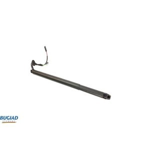 Heckklappendämpfer BGS10498 von BUGIAD günstig für 18,22 € online kaufen
